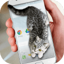 手机屏幕养猫咪软件