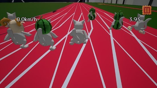 小猫短跑比赛图3